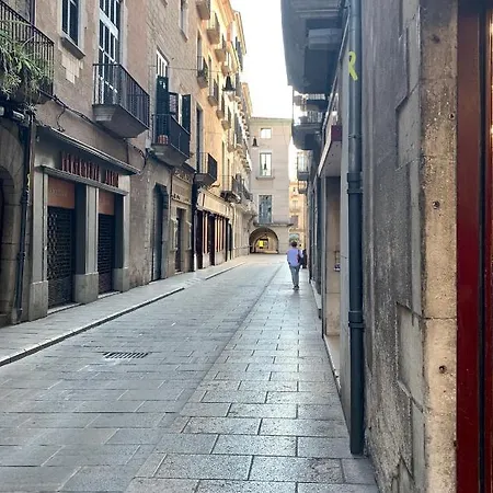 Apg Palau Salieti 3 Apartment Gerona